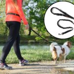 Select the Ideal Waist Dog Leashes