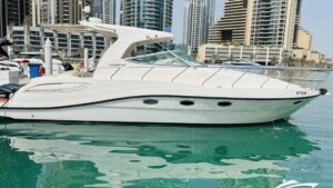 Experience the Thrill of a Lifetime with a Speed Boat Tour in Dubai